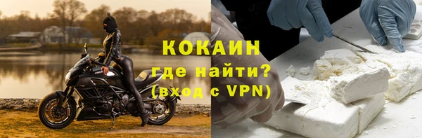 шишки Арсеньев