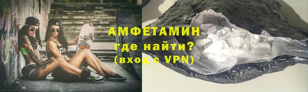 шишки Арсеньев
