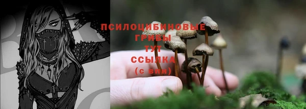 кристаллы Алзамай