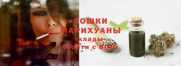 шишки Арсеньев