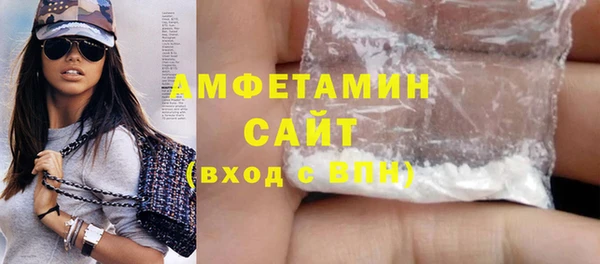 шишки Арсеньев
