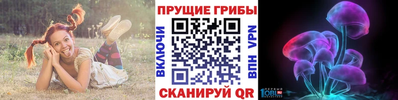 Галлюциногенные грибы Magic Shrooms  Мытищи 